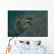 Flying Gurnard Lembeh Strait Wall Decal Design 2