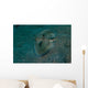 Flying Gurnard Lembeh Strait Wall Decal Design 1