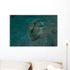 Flying Gurnard Lembeh Strait Wall Decal Design 1