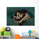 Coconut Octopus Broken Bottle Wall Decal Design 2