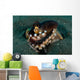 Coconut Octopus Broken Bottle Wall Decal Design 2
