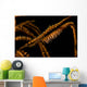 Banded Sawblade Shrimp Black Wall Decal