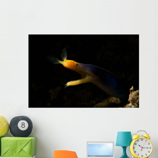 Blue Ribbon Eel Portrait Wall Decal