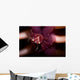 Four Lobed Porcelain Crab Wall Decal Design 2