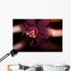 Four Lobed Porcelain Crab Wall Decal Design 2