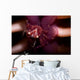 Four Lobed Porcelain Crab Wall Decal Design 2