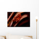 Pair Mating Four Lobed Wall Decal