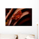 Pair Mating Four Lobed Wall Decal