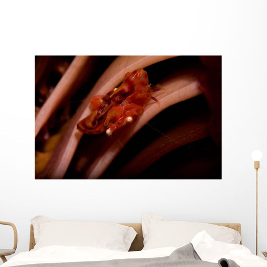 Pair Mating Four Lobed Wall Decal