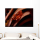Pair Mating Four Lobed Wall Decal