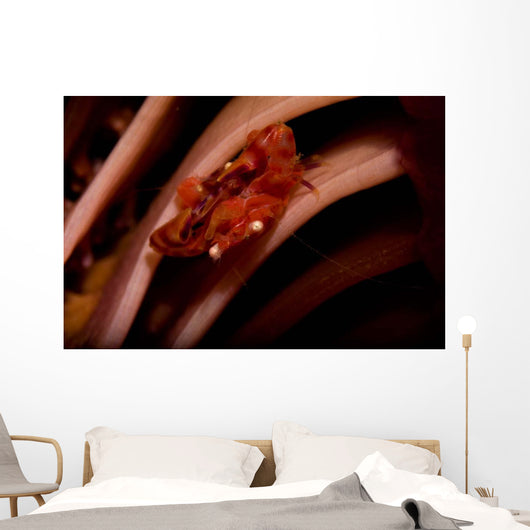 Pair Mating Four Lobed Wall Decal