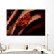 Pair Mating Four Lobed Wall Decal