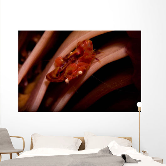 Pair Mating Four Lobed Wall Decal