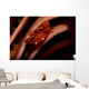 Pair Mating Four Lobed Wall Decal