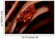 Pair Mating Four Lobed Wall Decal