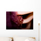 Four Lobed Porcelain Crab Wall Decal Design 1
