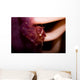 Four Lobed Porcelain Crab Wall Decal Design 1
