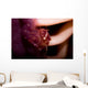 Four Lobed Porcelain Crab Wall Decal Design 1