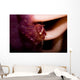 Four Lobed Porcelain Crab Wall Decal Design 1
