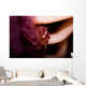 Four Lobed Porcelain Crab Wall Decal Design 1