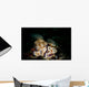 Pair Risbecia Tryoni Nudibranches Wall Decal
