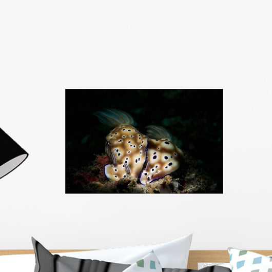 Pair Risbecia Tryoni Nudibranches Wall Decal