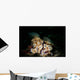 Pair Risbecia Tryoni Nudibranches Wall Decal