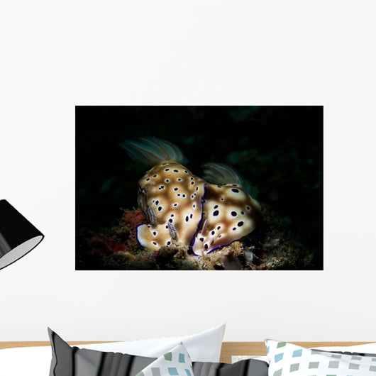Pair Risbecia Tryoni Nudibranches Wall Decal