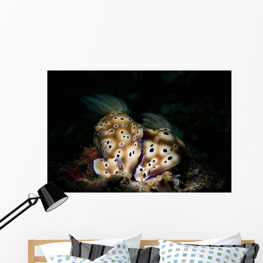 Pair Risbecia Tryoni Nudibranches Wall Decal