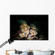 Pair Risbecia Tryoni Nudibranches Wall Decal