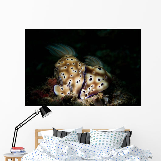 Pair Risbecia Tryoni Nudibranches Wall Decal