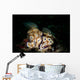 Pair Risbecia Tryoni Nudibranches Wall Decal