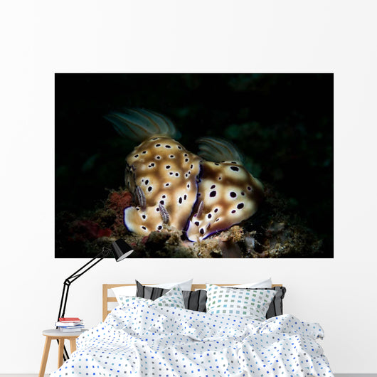 Pair Risbecia Tryoni Nudibranches Wall Decal