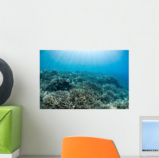 Hard Coral Reef with Wall Decal Design 3