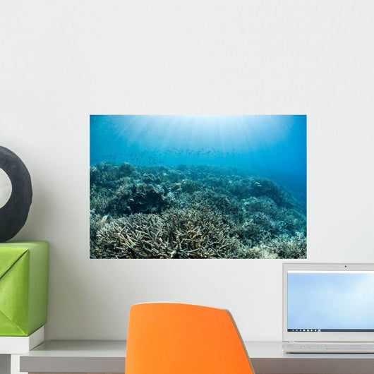 Hard Coral Reef with Wall Decal Design 3