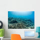 Hard Coral Reef with Wall Decal Design 3