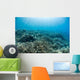 Hard Coral Reef with Wall Decal Design 3