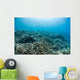 Hard Coral Reef with Wall Decal Design 3