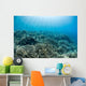 Hard Coral Reef with Wall Decal Design 3