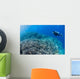 Diver Inspects Hard Coral Wall Decal