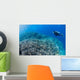 Diver Inspects Hard Coral Wall Decal