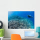 Diver Inspects Hard Coral Wall Decal