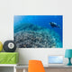 Diver Inspects Hard Coral Wall Decal