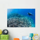 Diver Inspects Hard Coral Wall Decal