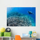 Diver Inspects Hard Coral Wall Decal