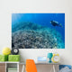 Diver Inspects Hard Coral Wall Decal