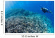 Diver Inspects Hard Coral Wall Decal