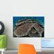 Hard Coral Reef with Wall Decal Design 2