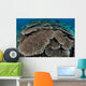 Hard Coral Reef with Wall Decal Design 2