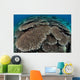 Hard Coral Reef with Wall Decal Design 2